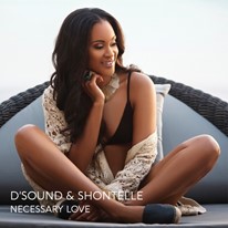dsound-and-shontelle-necessary-love-Cover-Art.jpeg